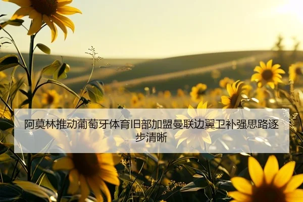 阿莫林推动葡萄牙体育旧部加盟曼联边翼卫补强思路逐步清晰