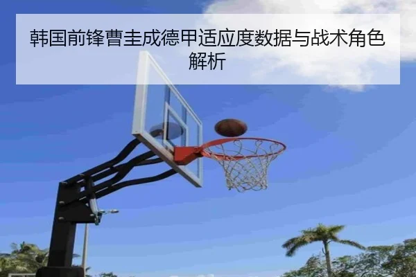 韩国前锋曹圭成德甲适应度数据与战术角色解析