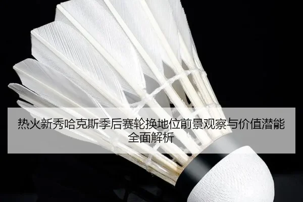 热火新秀哈克斯季后赛轮换地位前景观察与价值潜能全面解析
