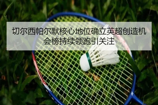 切尔西帕尔默核心地位确立英超创造机会榜持续领跑引关注