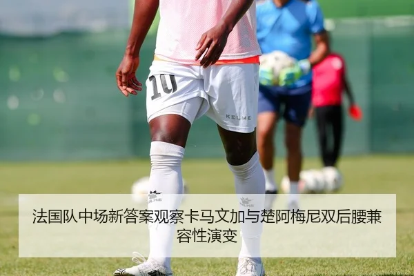 法国队中场新答案观察卡马文加与楚阿梅尼双后腰兼容性演变