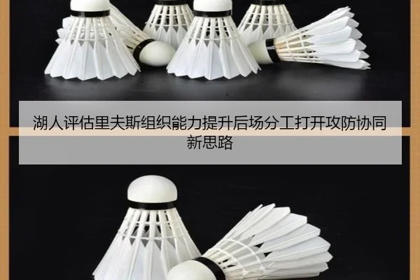湖人评估里夫斯组织能力提升后场分工打开攻防协同新思路